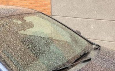 ¿Qué es la «lluvia de barro»?
